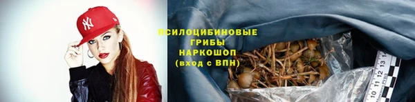 прущий лед Аркадак