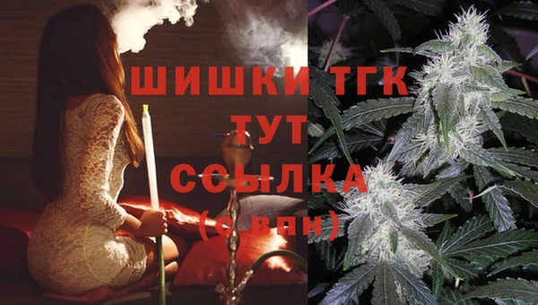 дмт Арсеньев