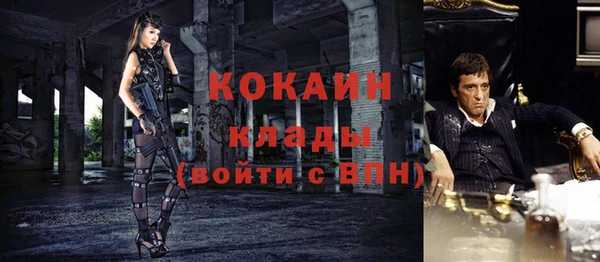 дмт Арсеньев