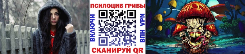 Купить  Ветлуга  Псилоцибиновые грибы мухоморы 
