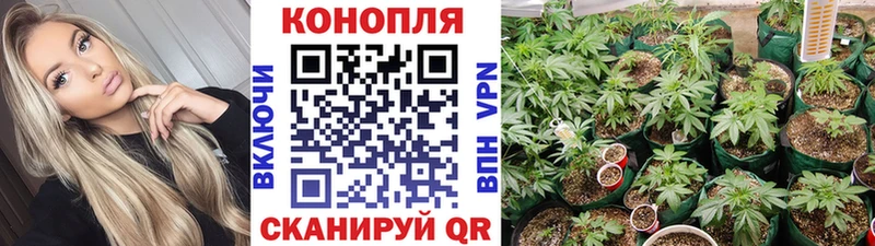 Шишки марихуана LSD WEED  Купить закладки  Ветлуга 